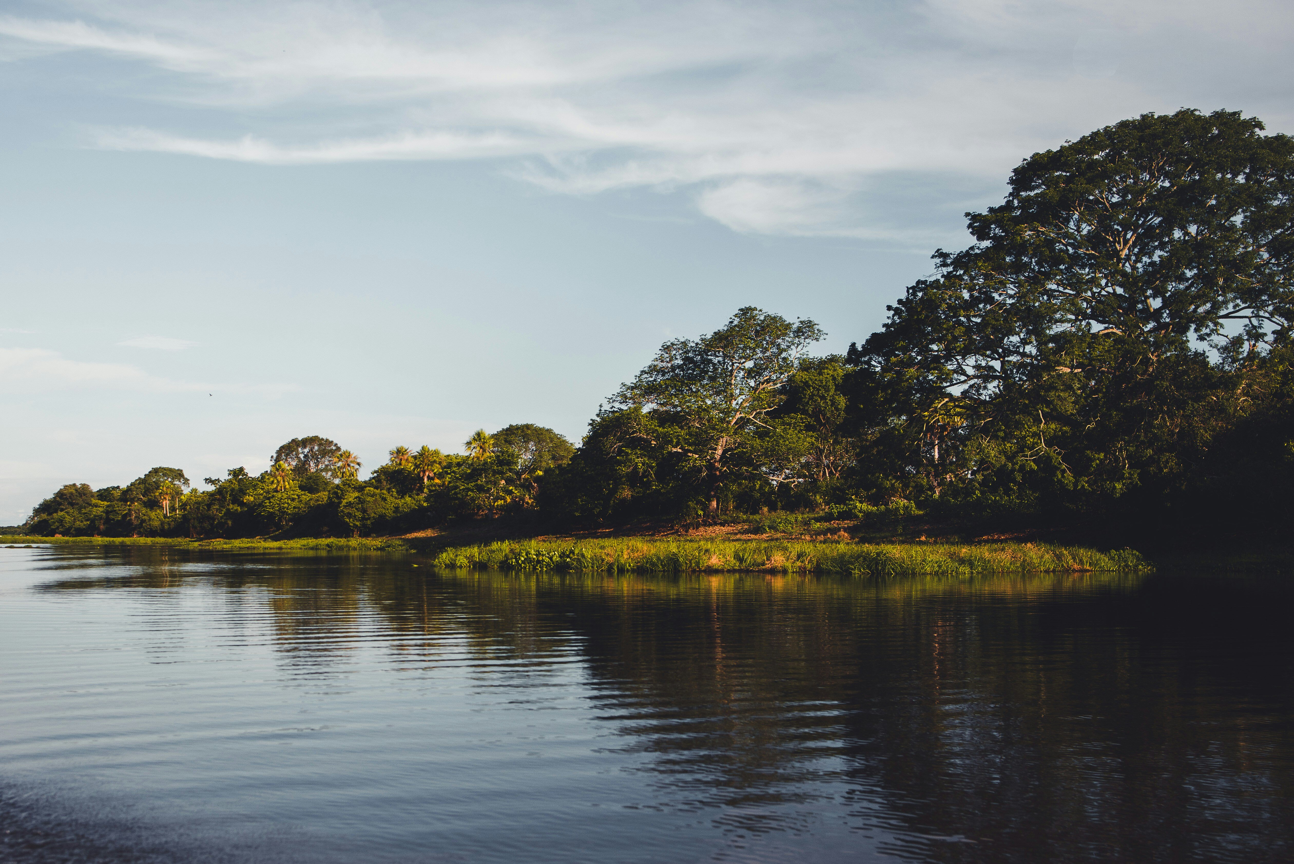 The Pantanal Wetlands, Brazil